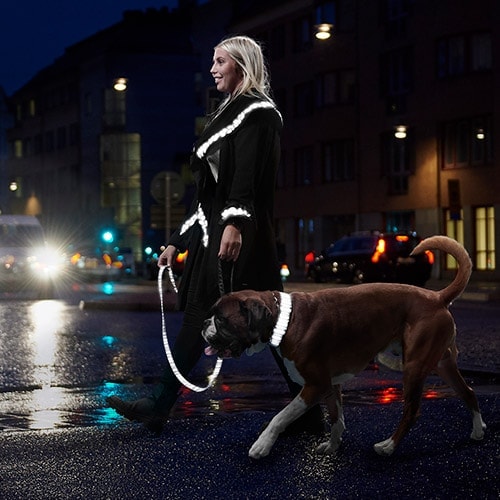 Hunde­­reflekser