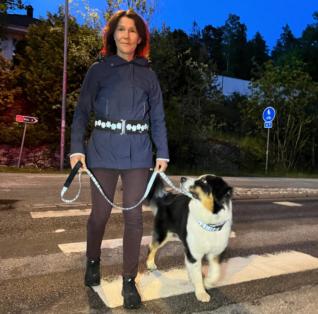 hund i trafikken med både refleksbånd og reflekshalsbånd fra Smart in the dark