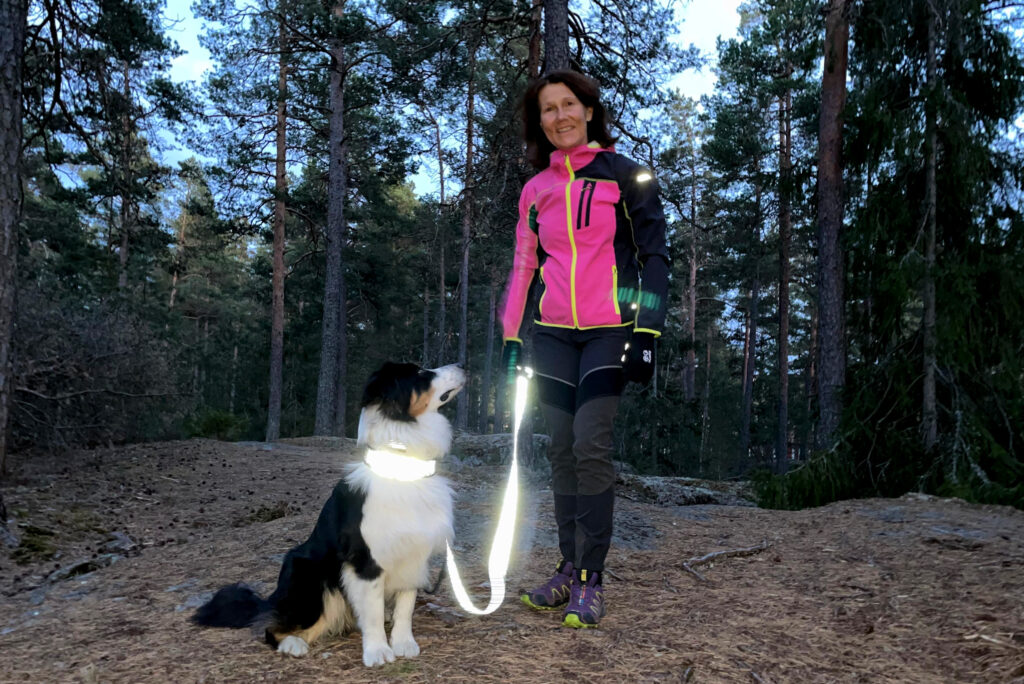 Reflexer på hund - reflexband och reflexkoppel