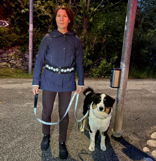 reflexer på hund - reflexkoppel och reflexhalsband