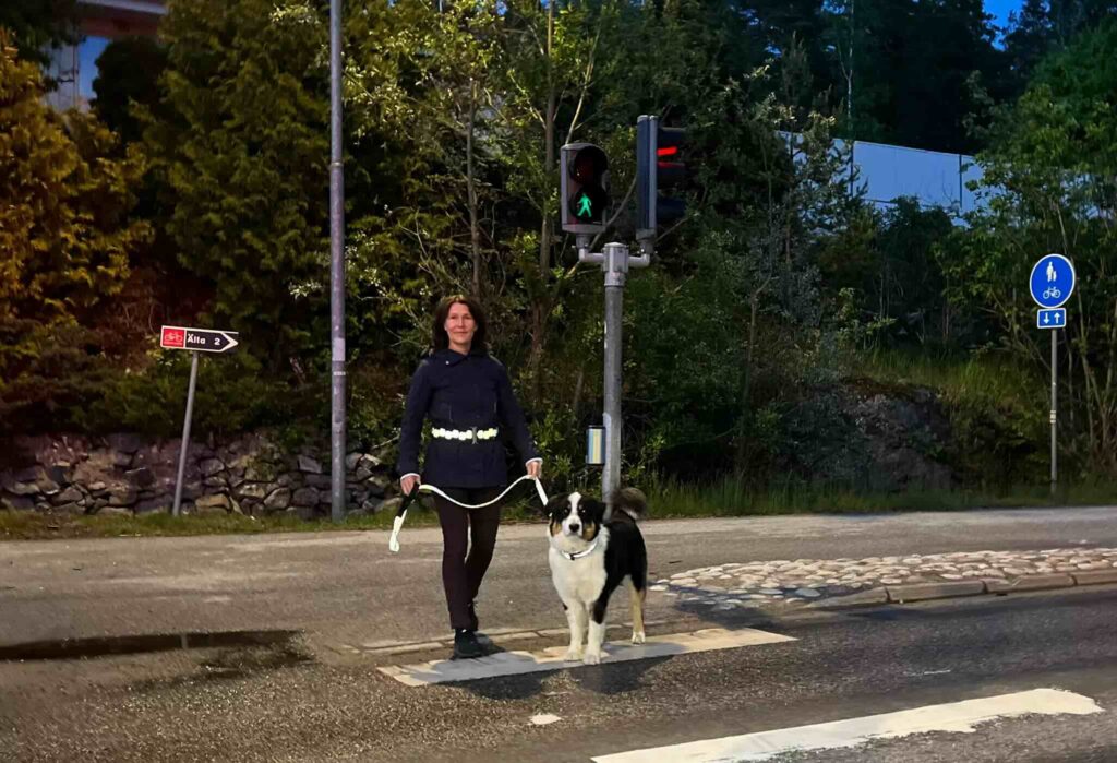Woman and dog waiting at green pedestrian light wearing reflective belt, dog collar, and leash from Smart in the dark
