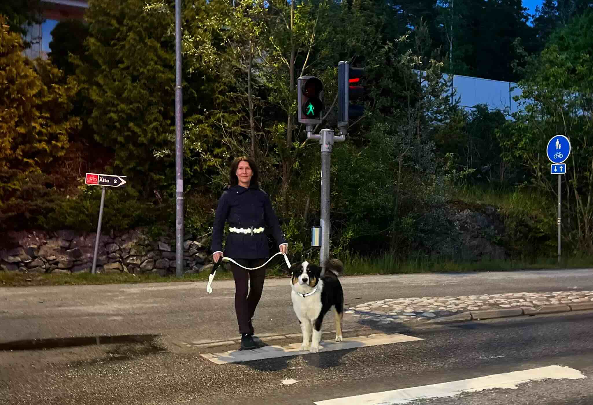 Woman and dog waiting at green pedestrian light wearing reflective belt, dog collar, and leash from Smart in the dark